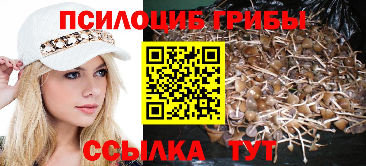 Галлюциногенные грибы Psilocybine cubensis  Вход с VPN  Чайковский 